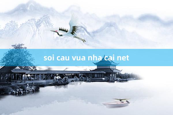 soi cau vua nha cai net