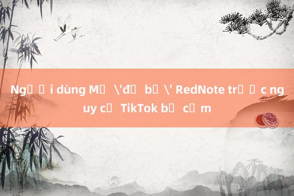 Người dùng Mỹ 'đổ bộ' RedNote trước nguy cơ TikTok bị cấm