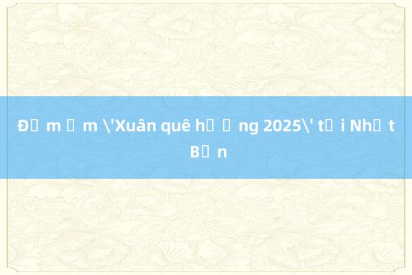 Đầm ấm 'Xuân quê hương 2025' tại Nhật Bản