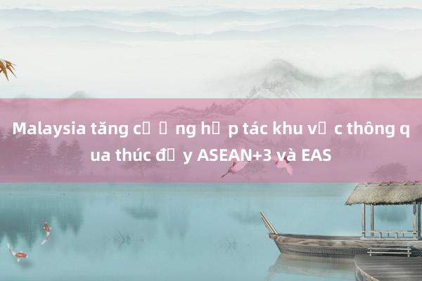 Malaysia tăng cường hợp tác khu vực thông qua thúc đẩy ASEAN+3 và EAS