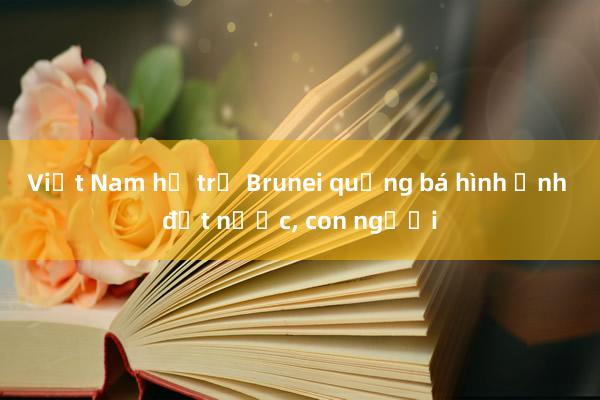 Việt Nam hỗ trợ Brunei quảng bá hình ảnh đất nước， con người