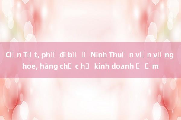 Cận Tết， phố đi bộ ở Ninh Thuận vẫn vắng hoe， hàng chục hộ kinh doanh ế ẩm