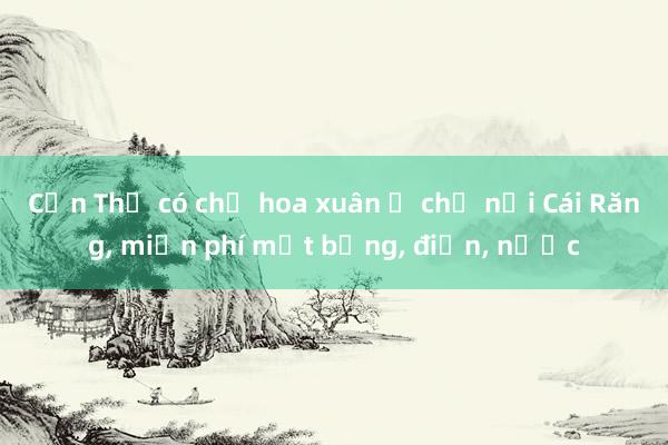 Cần Thơ có chợ hoa xuân ở chợ nổi Cái Răng， miễn phí mặt bằng， điện， nước