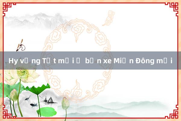 Hy vọng Tết mới ở bến xe Miền Đông mới