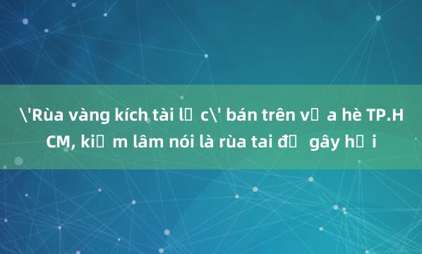 'Rùa vàng kích tài lộc' bán trên vỉa hè TP.HCM， kiểm lâm nói là rùa tai đỏ gây hại