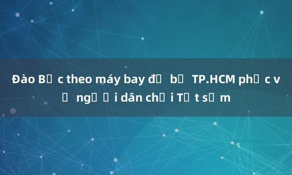 Đào Bắc theo máy bay đổ bộ TP.HCM phục vụ người dân chơi Tết sớm