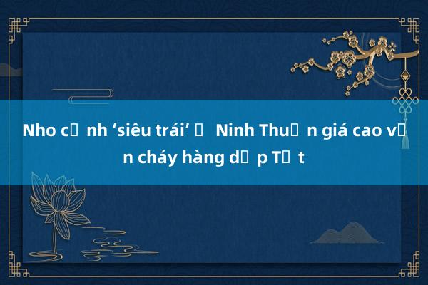 Nho cảnh ‘siêu trái’ ở Ninh Thuận giá cao vẫn cháy hàng dịp Tết