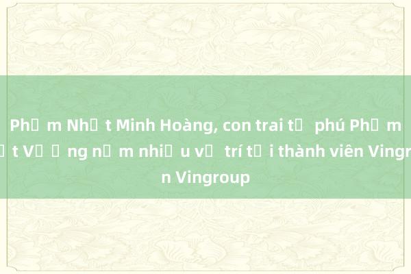 Phạm Nhật Minh Hoàng, con trai tỉ phú Phạm Nhật Vượng nắm nhiều vị trí tại thành viên Vingroup