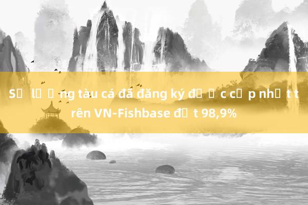 Số lượng tàu cá đã đăng ký được cập nhật trên VN-Fishbase đạt 98,9%