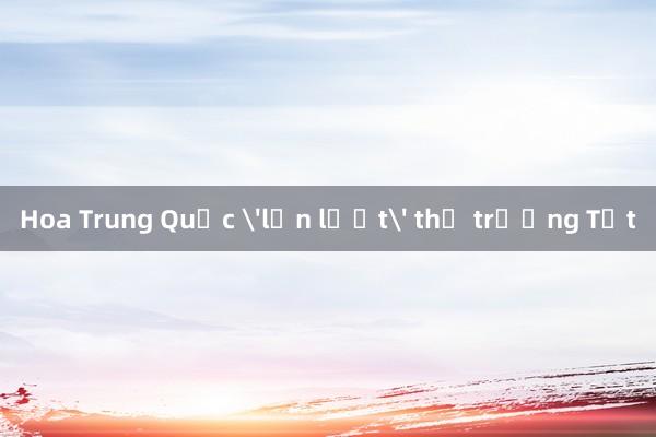 Hoa Trung Quốc 'lấn lướt' thị trường Tết