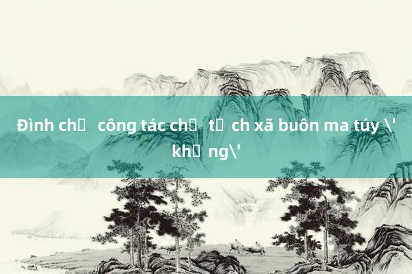 Đình chỉ công tác chủ tịch xã buôn ma túy 'khủng'