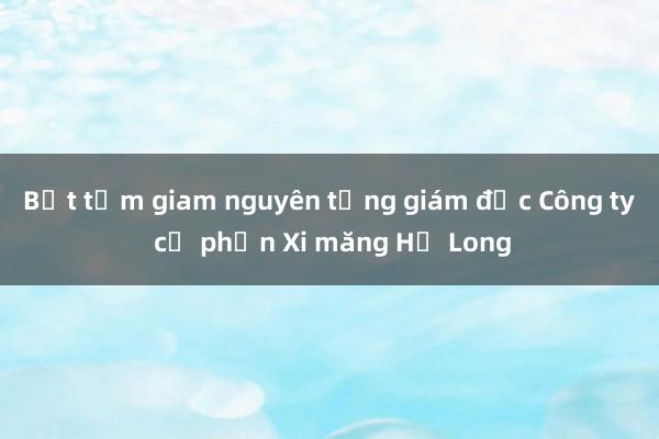 Bắt tạm giam nguyên tổng giám đốc Công ty cổ phần Xi măng Hạ Long