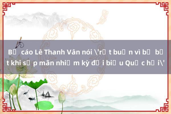 Bị cáo Lê Thanh Vân nói 'rất buồn vì bị bắt khi sắp mãn nhiệm kỳ đại biểu Quốc hội'