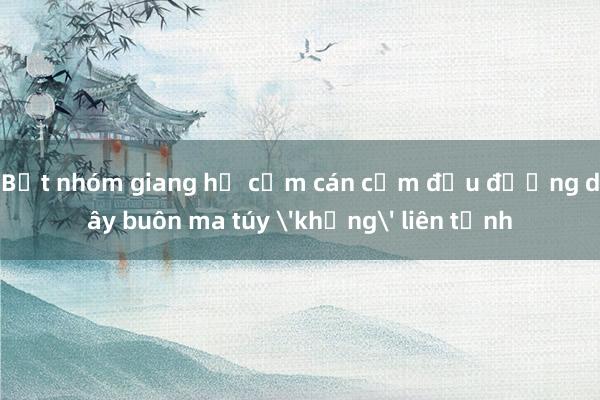 Bắt nhóm giang hồ cộm cán cầm đầu đường dây buôn ma túy 'khủng' liên tỉnh