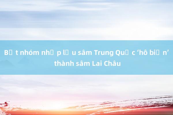 Bắt nhóm nhập lậu sâm Trung Quốc ‘hô biến’ thành sâm Lai Châu