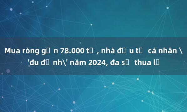 Mua ròng gần 78.000 tỉ, nhà đầu tư cá nhân 'đu đỉnh' năm 2024, đa số thua lỗ