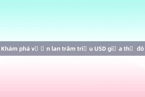 Khám phá vườn lan trăm triệu USD giữa thủ đô