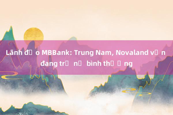 Lãnh đạo MBBank: Trung Nam, Novaland vẫn đang trả nợ bình thường