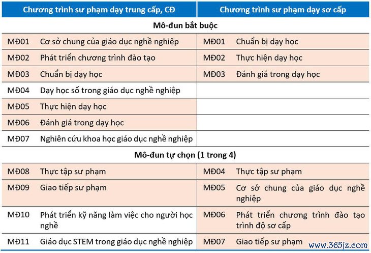 Thay đổi tiêu chuẩn giáo viên dạy thực hành lái xe: Cao hay thấp hơn? - Ảnh 2.